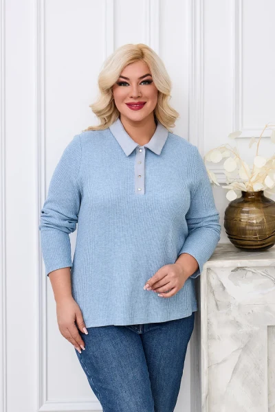 Джемпер Ари тр.53-200031-2430-42